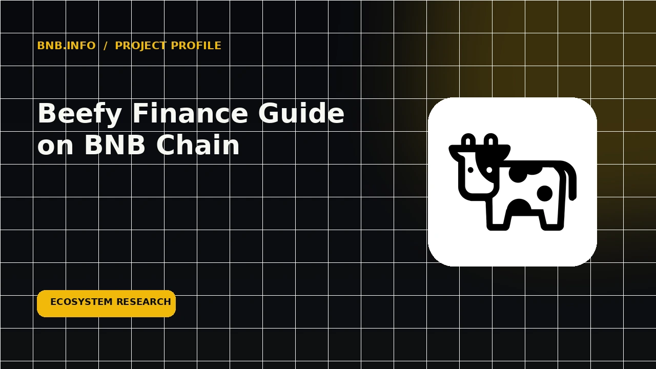 Beefy Finance Guide on BNB Chain